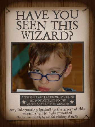 HarryPotter_Have_you_seen_this_wizard__01.jpg