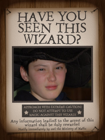 HarryPotter_Have_you_seen_this_wizard__02.jpg