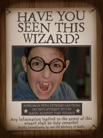 HarryPotter_Have_you_seen_this_wizard__03.jpg