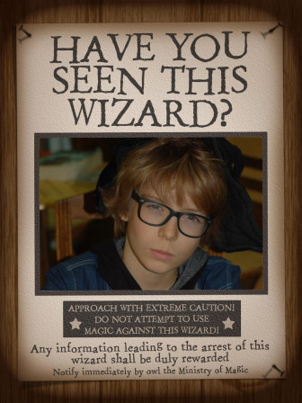 HarryPotter_Have_you_seen_this_wizard__09.jpg